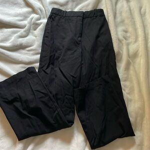 Aritzia Babaton pants